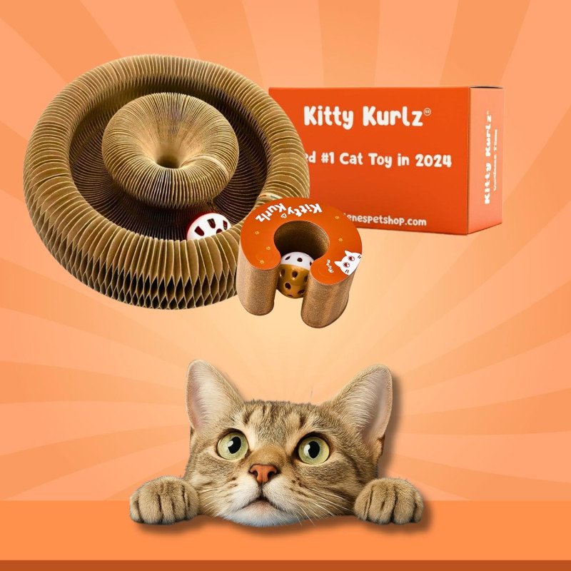 Kitty Kurlz - Kitty Kurlz Magnetic Toy & Reversible Cardboard Scratcher - Collapsible Ball Track with Bell - Durable Eco-Friendly Ring for Play, Chase & Scratch