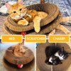 Kitty Kurlz - Kitty Kurlz Magnetic Toy & Reversible Cardboard Scratcher - Collapsible Ball Track with Bell - Durable Eco-Friendly Ring for Play, Chase & Scratch