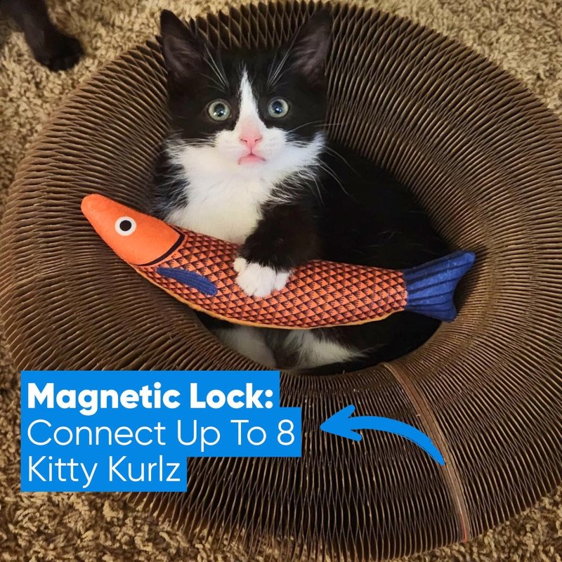 Kitty Kurlz - Kitty Kurlz Magnetic Toy & Reversible Cardboard Scratcher - Collapsible Ball Track with Bell - Durable Eco-Friendly Ring for Play, Chase & Scratch