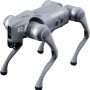 Unitree Go2 Robot Dog Quadruped Robotics for Adults Embodied AI (Go2 Pro)