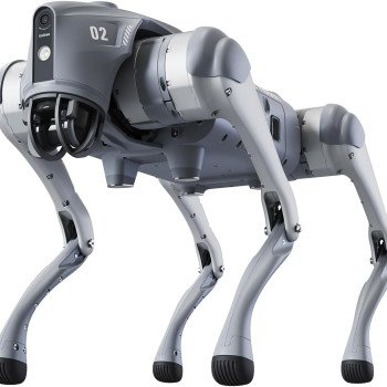 Unitree Go2 Robot Dog Quadruped Robotics for Adults Embodied AI (Go2 Pro)