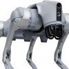 Unitree Go2 Robot Dog Quadruped Robotics for Adults Embodied AI (Go2 Pro)