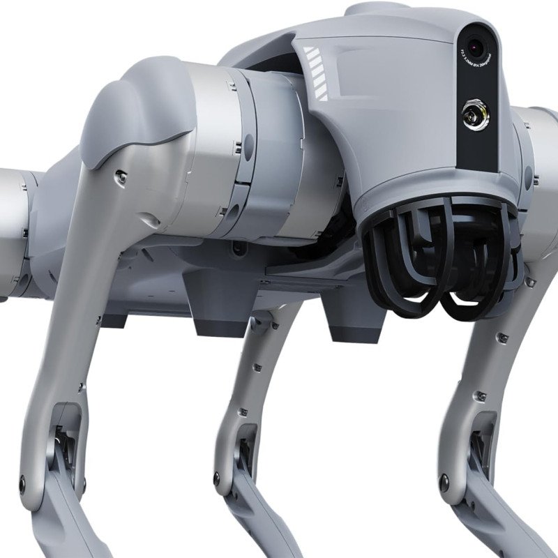 Unitree Go2 Robot Dog Quadruped Robotics for Adults Embodied AI (Go2 Pro)