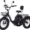 Electric Tricycle for Adults, 750W(Peak 1350W)-28