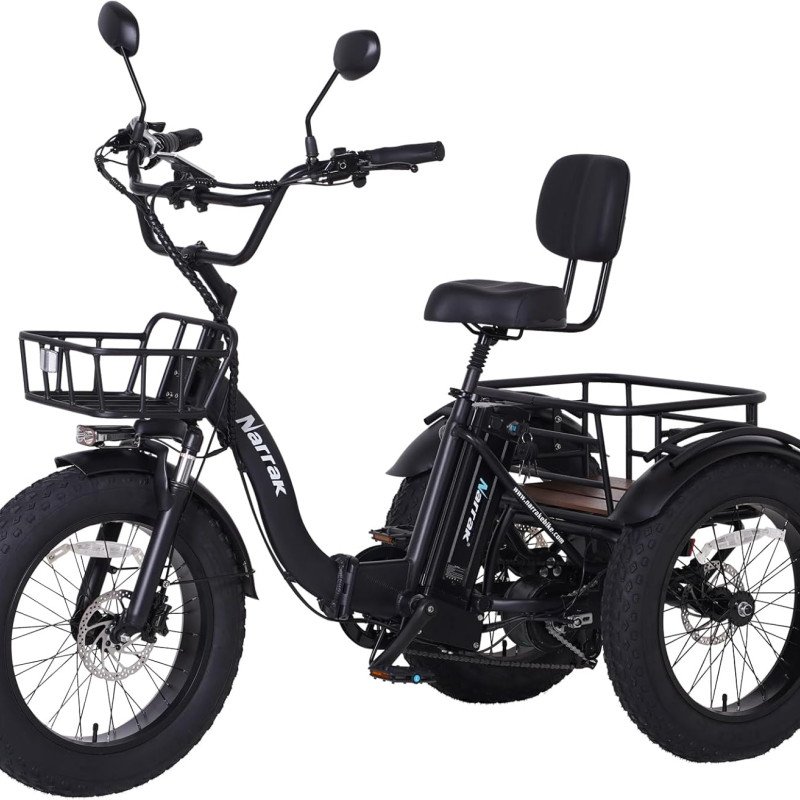 Electric Tricycle for Adults, 750W(Peak 1350W)-28