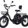 Electric Tricycle for Adults, 750W(Peak 1350W)-28