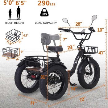 Electric Tricycle for Adults, 750W(Peak 1350W)-28