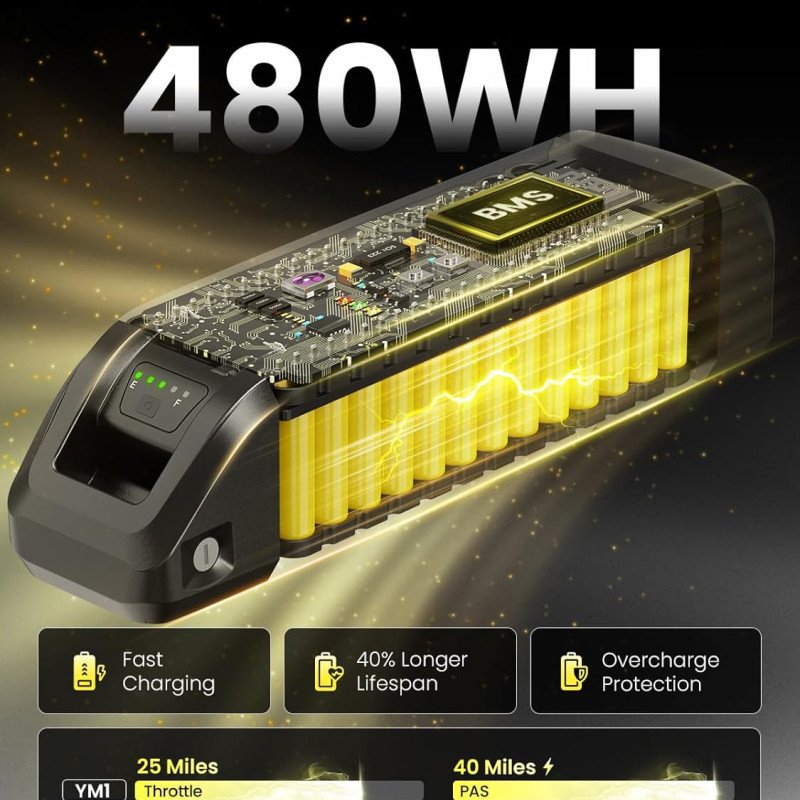 Heybike Electric Bike-3