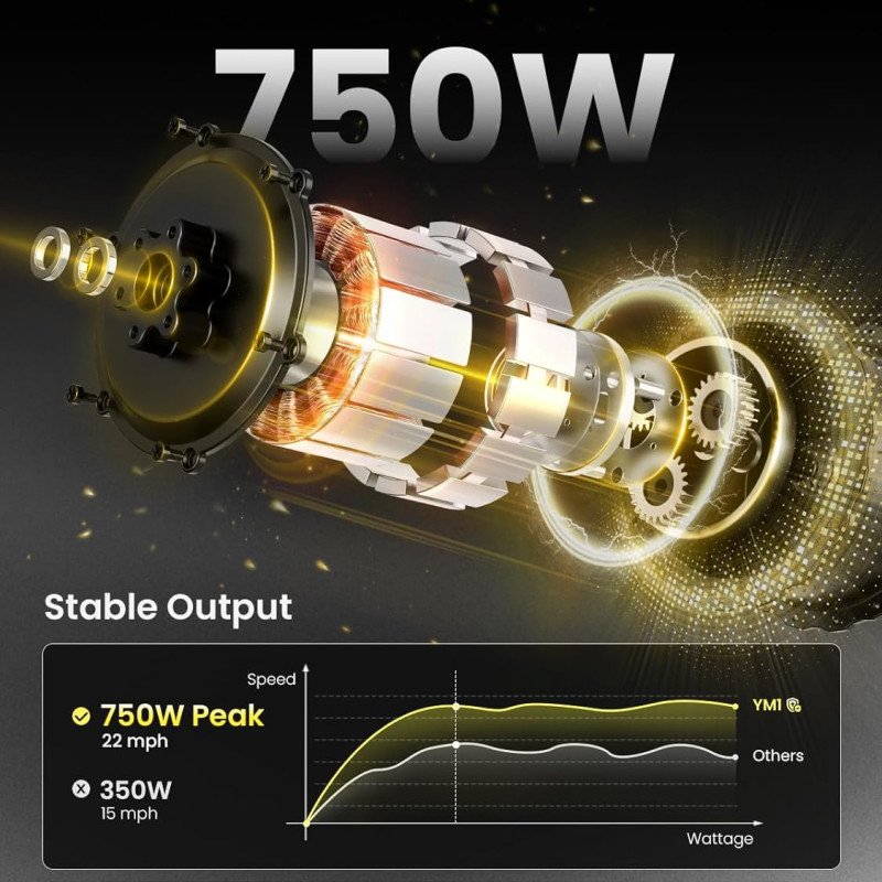 Heybike Electric Bike-3