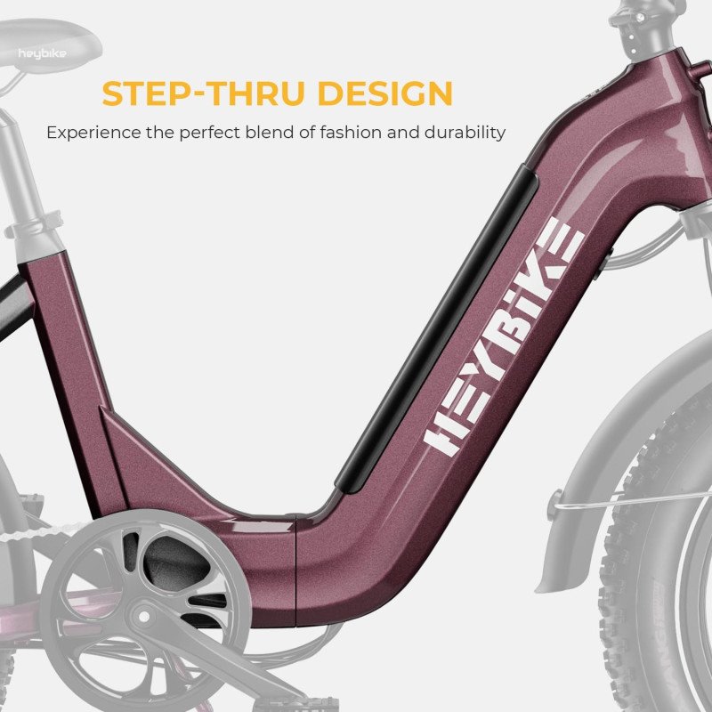 Heybike Ranger S Electric Bike-14 Heybike Ranger S Electric Bike-14