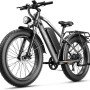 Jasion EB5 MAX Electric Bike-15