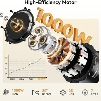 Jasion Electric Bike-7