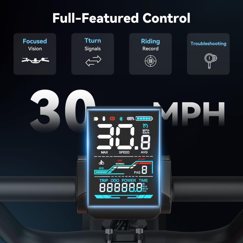 Jasion RetroVolt Electric Bike-8