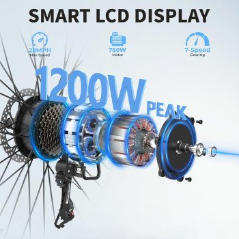 Jasion Roamer Electric Bike-9