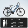 Jasion Roamer Electric Bike-9