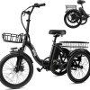 Triker Electric Bike-18