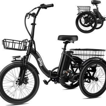 Triker Electric Bike-18