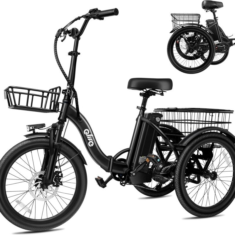 Triker Electric Bike-18