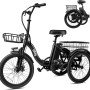 Triker Electric Bike-18
