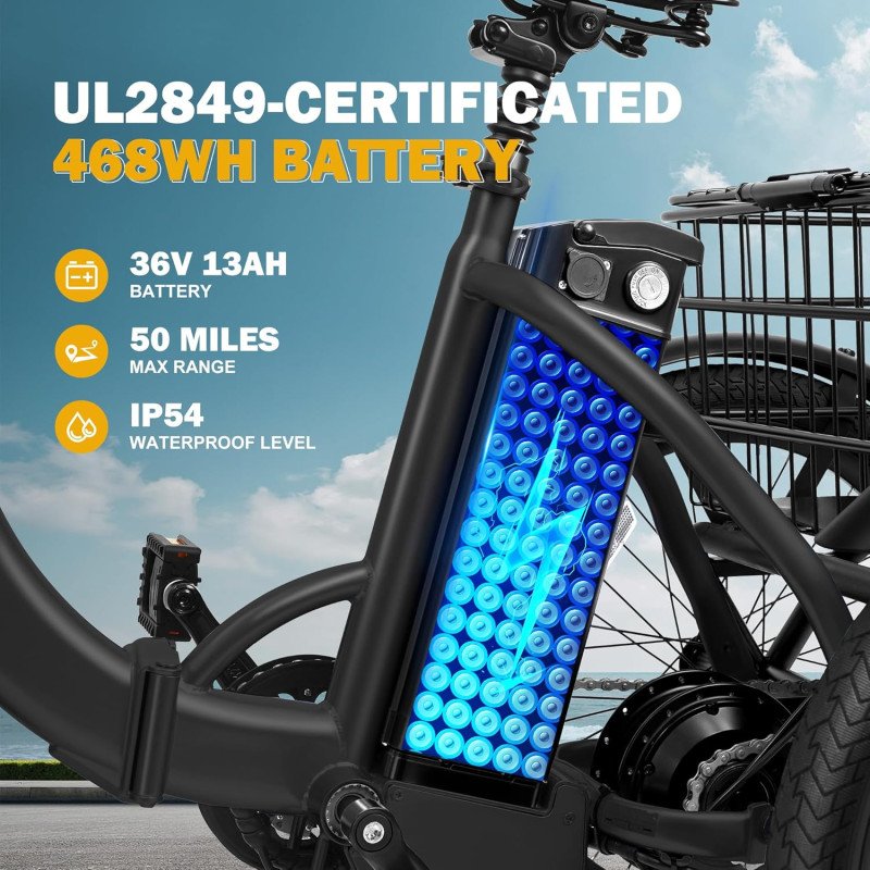 Triker Electric Bike-18