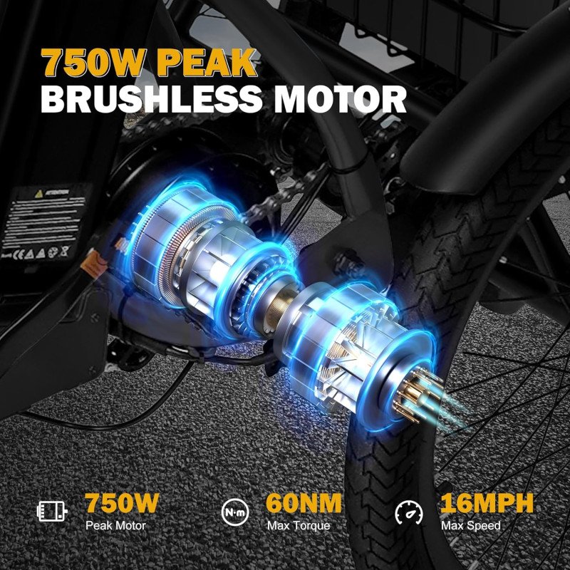 Triker Electric Bike-18