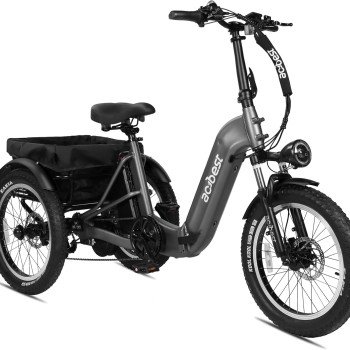 Triker Electric Bike-21