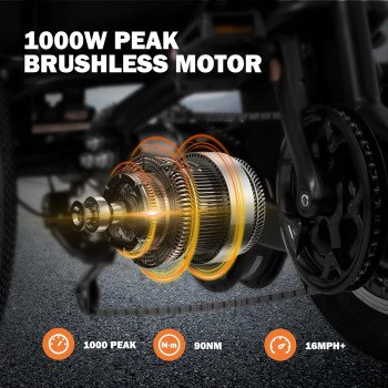 Triker Electric Bike-21