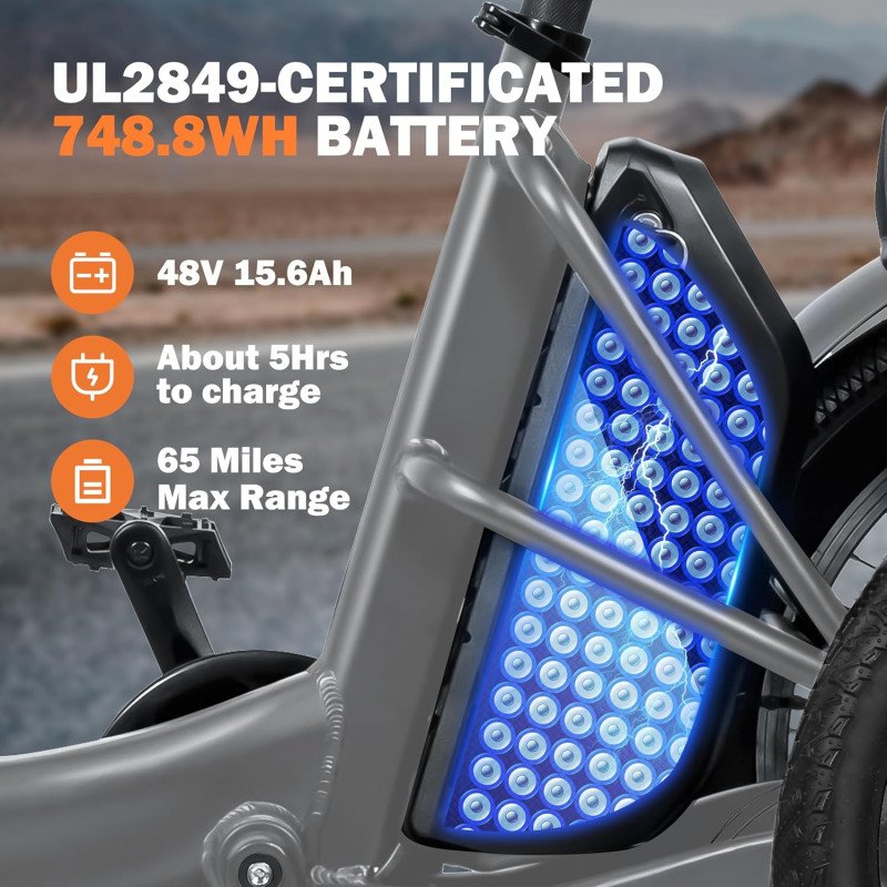 Triker Electric Bike-21