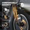 Triker Electric Bike-21