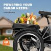 Triker Electric Bike-21