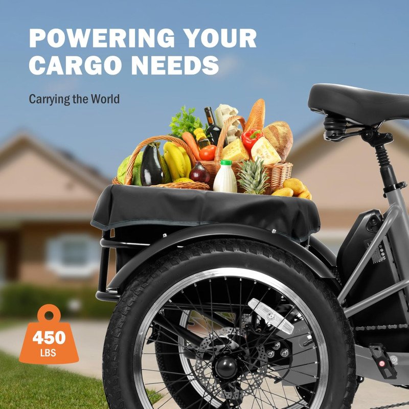 Triker Electric Bike-21