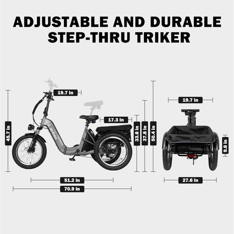 Triker Electric Bike-21